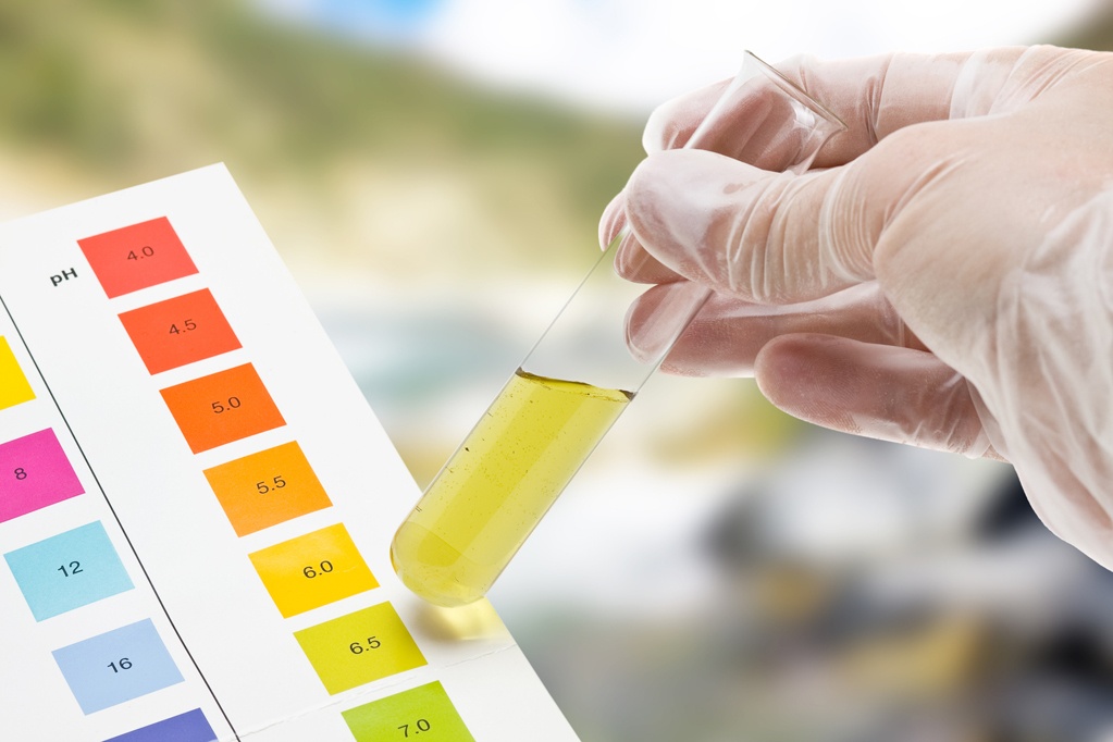 Hand holding test tube with pH indicator comparing color to scale