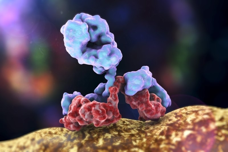 Antibody attacking bacterium on colorful background. Immunoglobulin, 3d illustration
